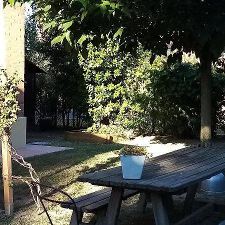 Marana 14 *