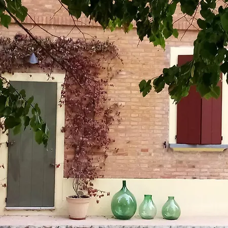 Marana 14 *
