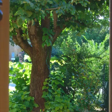 Venkovský dům Marana 14