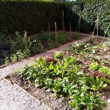 Marana 14 Landhaus *