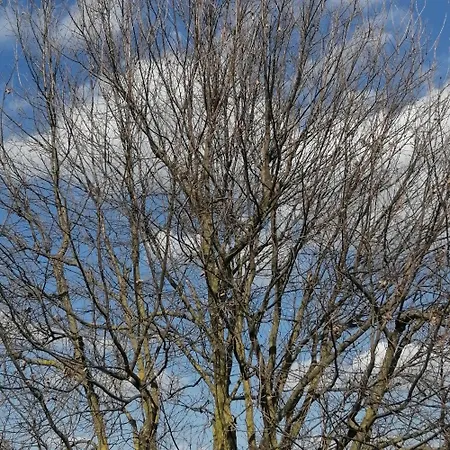 乡村民宿 Marana 14 博洛尼亚