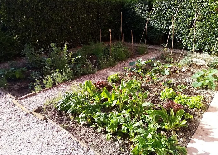 Marana 14 乡村民宿 *