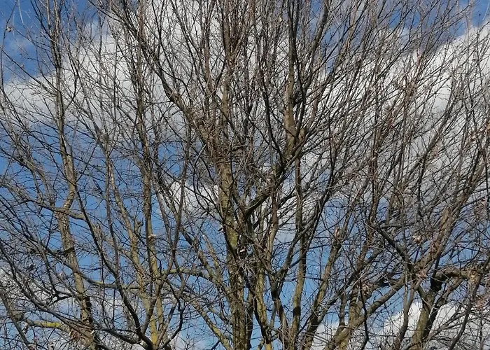 Hétvégi ház Marana 14 Bologna