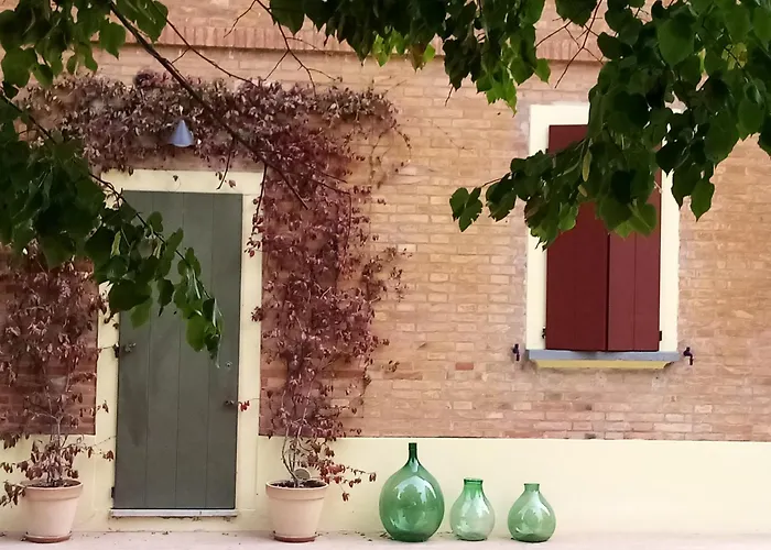Marana 14 *