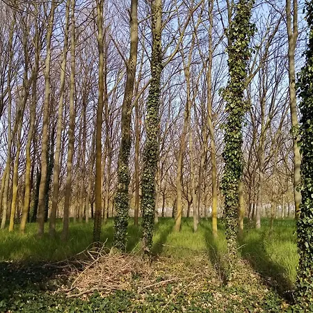 Marana 14 Болонья