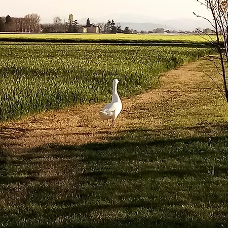 Marana 14 Летний дом